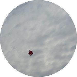 Your Sky is a Crust