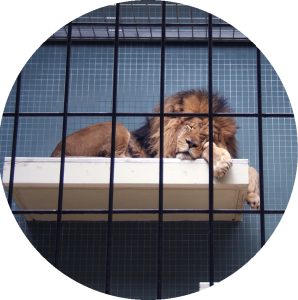 Berlin Zoo